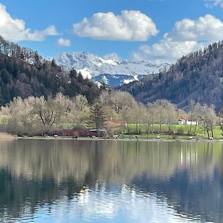 Ferienwohnungen Mews Immenstadt im Allgäu Εξωτερικό φωτογραφία